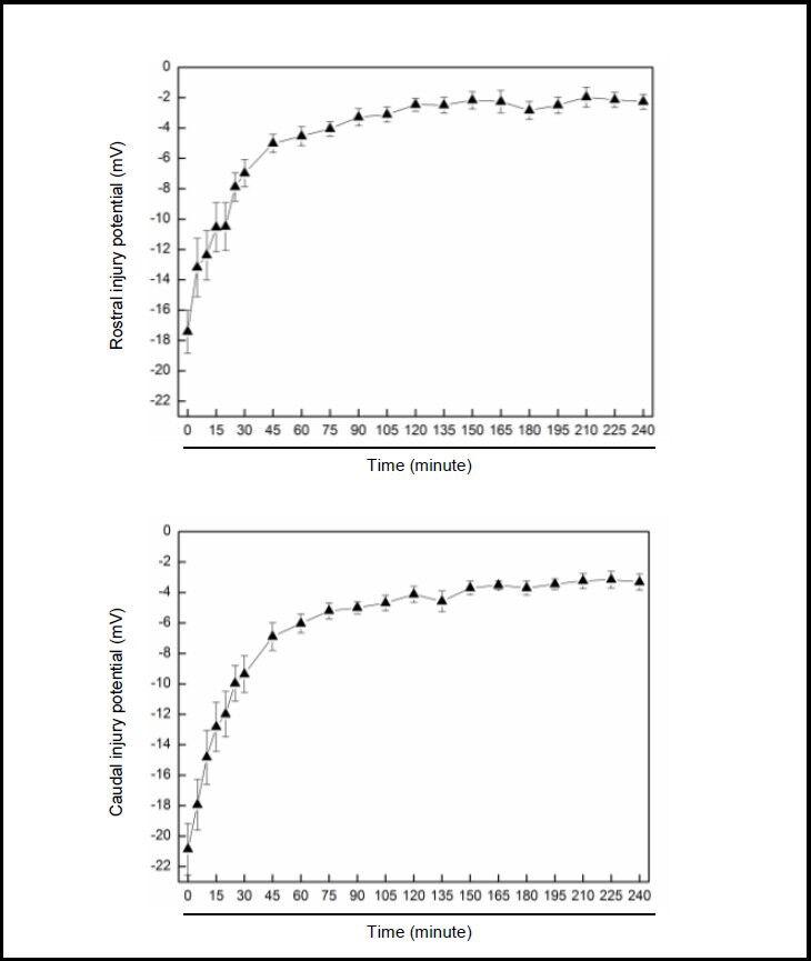 https://cdn.ncbi.nlm.nih.gov/pmc/blobs/fd6c/4145934/56cf59a10e54/NRR-8-2531-g001.jpg