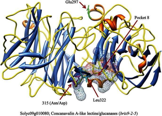 https://cdn.ncbi.nlm.nih.gov/pmc/blobs/fd6e/3686429/c44905d5cf20/dst00507.jpg