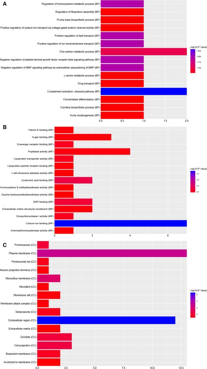 https://cdn.ncbi.nlm.nih.gov/pmc/blobs/fd6f/6356163/00c6896738ca/FEB4-9-265-g002.jpg