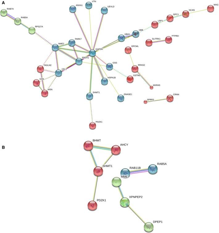 https://cdn.ncbi.nlm.nih.gov/pmc/blobs/fd6f/6356163/c3d22ad34753/FEB4-9-265-g003.jpg