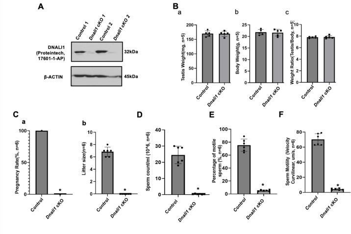 https://cdn.ncbi.nlm.nih.gov/pmc/blobs/fd71/10185345/61db0afa8b6f/elife-79620-fig5.jpg