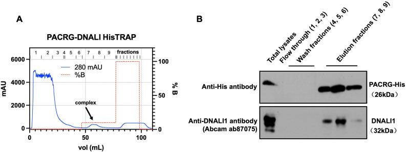 https://cdn.ncbi.nlm.nih.gov/pmc/blobs/fd71/10185345/9cdf38b45501/elife-79620-fig3.jpg
