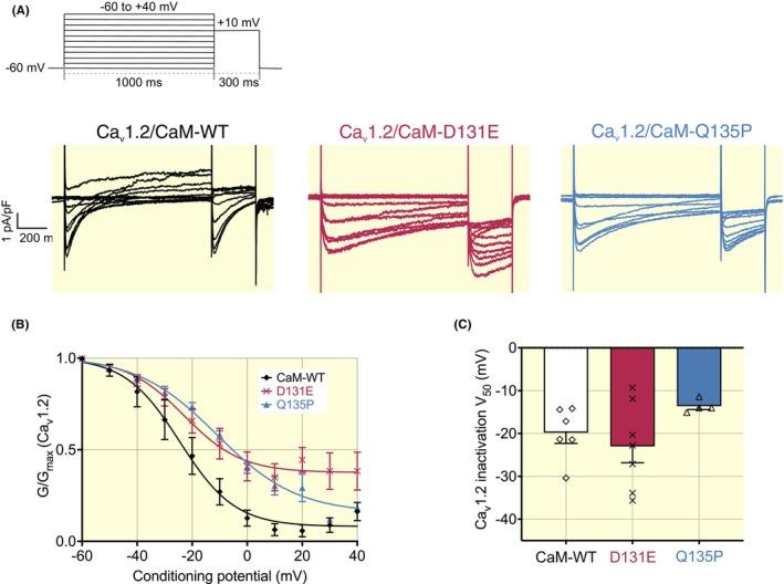 https://cdn.ncbi.nlm.nih.gov/pmc/blobs/fd73/11742489/9bd41bf15c0a/APHA-241-e14276-g007.jpg