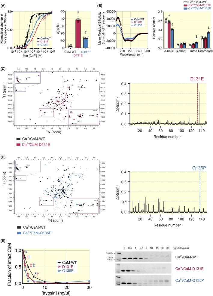 https://cdn.ncbi.nlm.nih.gov/pmc/blobs/fd73/11742489/ddba920bf158/APHA-241-e14276-g003.jpg