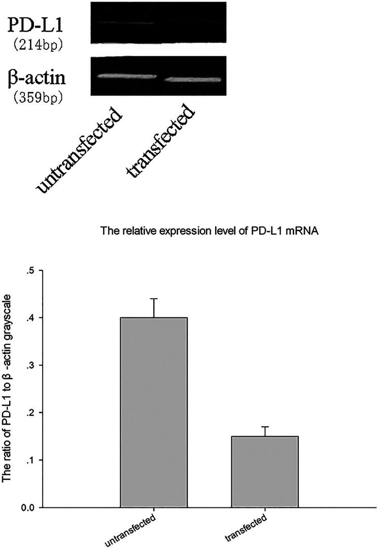 https://cdn.ncbi.nlm.nih.gov/pmc/blobs/fd73/8504221/3016fcbbf7b6/10.1177_15330338211046432-fig3.jpg
