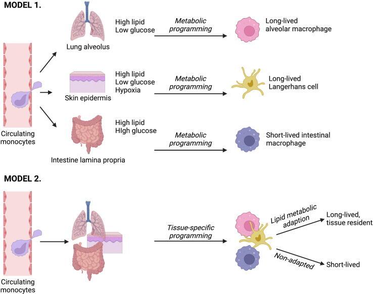 https://cdn.ncbi.nlm.nih.gov/pmc/blobs/fd76/10564628/eeda22eb10ca/gr2.jpg
