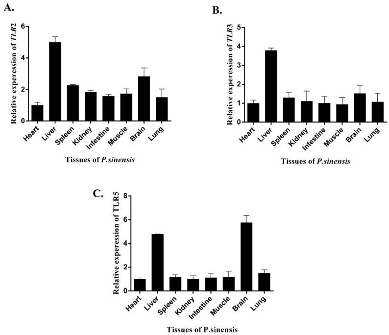 https://cdn.ncbi.nlm.nih.gov/pmc/blobs/fd76/11431187/d0ac05284b33/genes-15-01230-g004.jpg