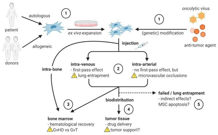 https://cdn.ncbi.nlm.nih.gov/pmc/blobs/fd76/7996318/ecf012f262ba/jpm-11-00161-g001.jpg