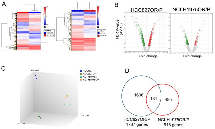 https://cdn.ncbi.nlm.nih.gov/pmc/blobs/fd78/9317954/b6178feee1d1/cancers-14-03430-g003.jpg