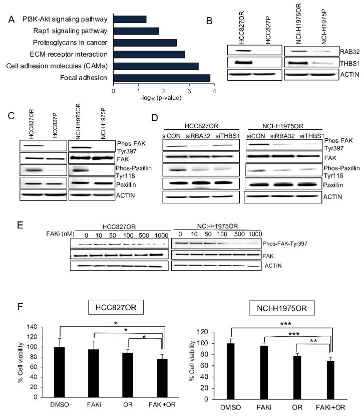 https://cdn.ncbi.nlm.nih.gov/pmc/blobs/fd78/9317954/c533bcd3e4c1/cancers-14-03430-g007.jpg