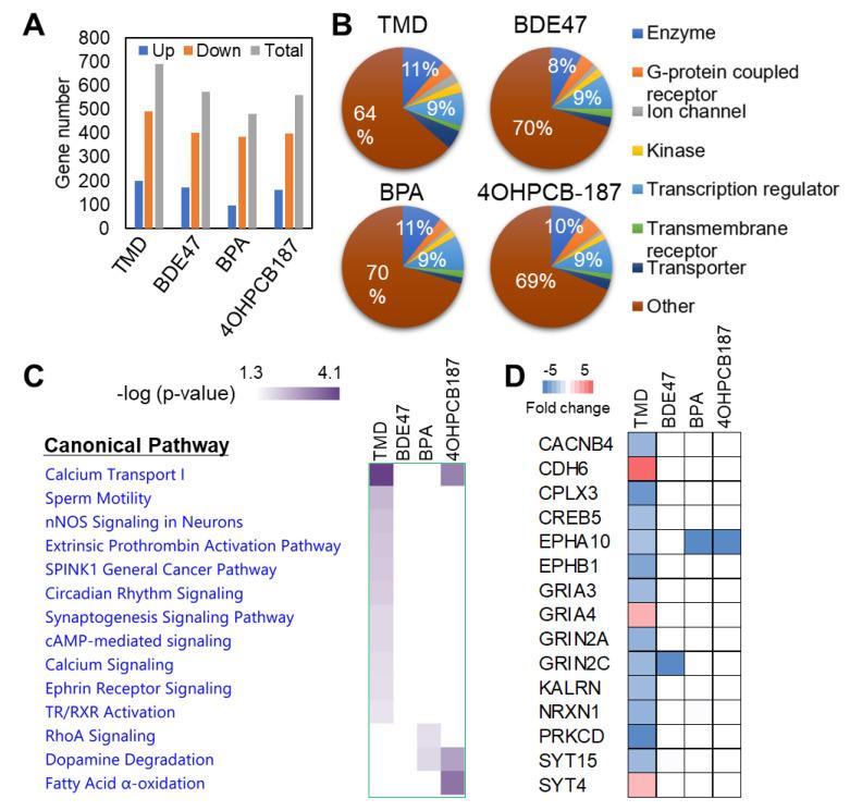 https://cdn.ncbi.nlm.nih.gov/pmc/blobs/fd79/7432054/c210529e3352/ijms-21-05564-g002.jpg