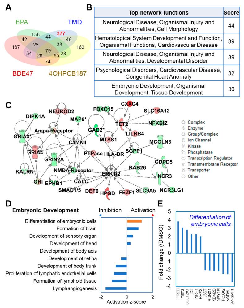 https://cdn.ncbi.nlm.nih.gov/pmc/blobs/fd79/7432054/c521e1df3621/ijms-21-05564-g003.jpg