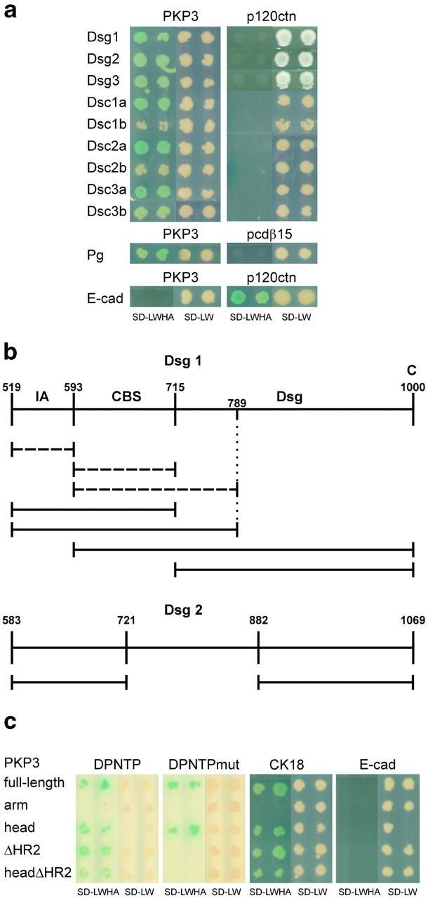 https://cdn.ncbi.nlm.nih.gov/pmc/blobs/fd7d/2172904/7ad1258085cc/200303036f7.jpg