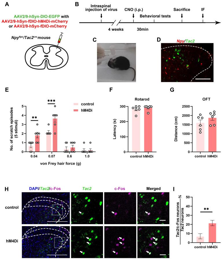 https://cdn.ncbi.nlm.nih.gov/pmc/blobs/fd7e/10750199/768f12ad3764/thnov14p0363g001.jpg