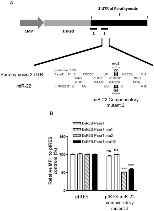 https://cdn.ncbi.nlm.nih.gov/pmc/blobs/fd7e/3320904/86ceb0bc809a/pone.0034116.g007.jpg