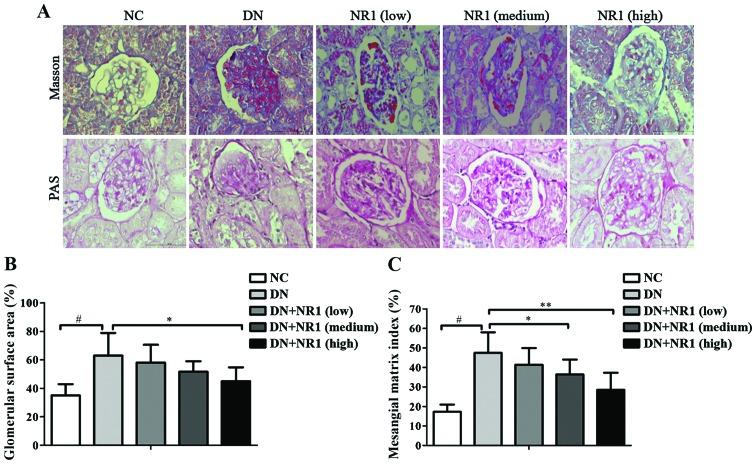 https://cdn.ncbi.nlm.nih.gov/pmc/blobs/fd7e/5029967/e03c85209569/IJMM-38-04-1179-g01.jpg
