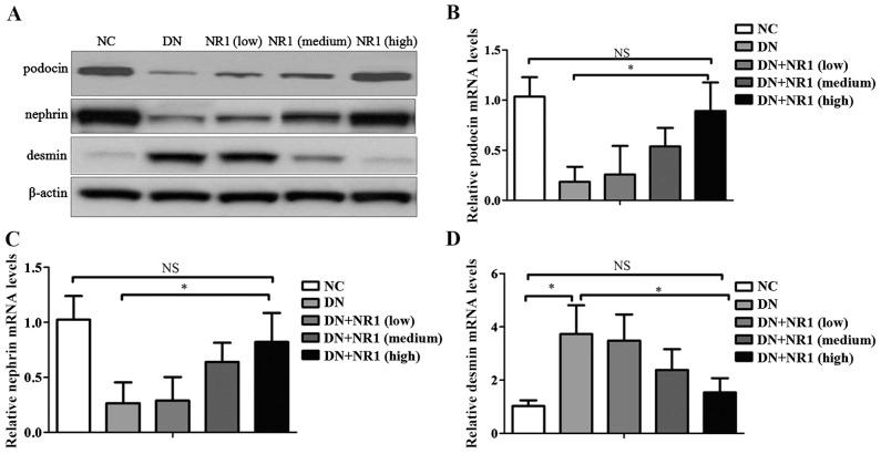 https://cdn.ncbi.nlm.nih.gov/pmc/blobs/fd7e/5029967/f9b4684c0204/IJMM-38-04-1179-g02.jpg