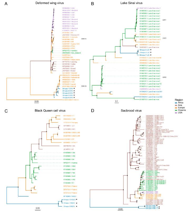 https://cdn.ncbi.nlm.nih.gov/pmc/blobs/fd7f/7692050/4322ae4a7ed2/viruses-12-01218-g005.jpg