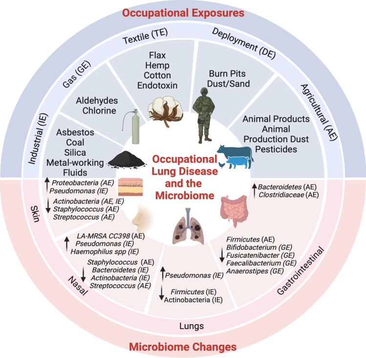 https://cdn.ncbi.nlm.nih.gov/pmc/blobs/fd80/11297072/dde51ecfcc09/11882_2024_1156_Fig1_HTML.jpg