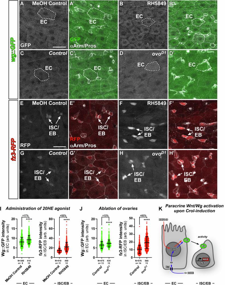 https://cdn.ncbi.nlm.nih.gov/pmc/blobs/fd82/11704138/90ad1089bc18/41467_2024_55664_Fig3_HTML.jpg