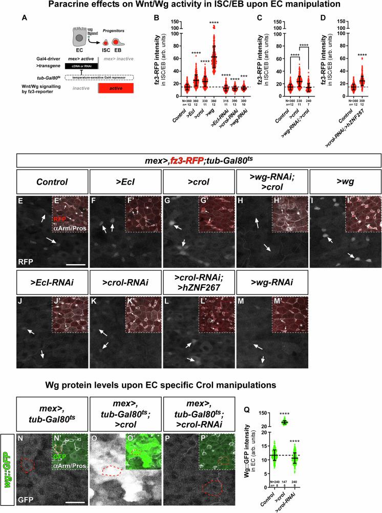 https://cdn.ncbi.nlm.nih.gov/pmc/blobs/fd82/11704138/be2894714d29/41467_2024_55664_Fig4_HTML.jpg
