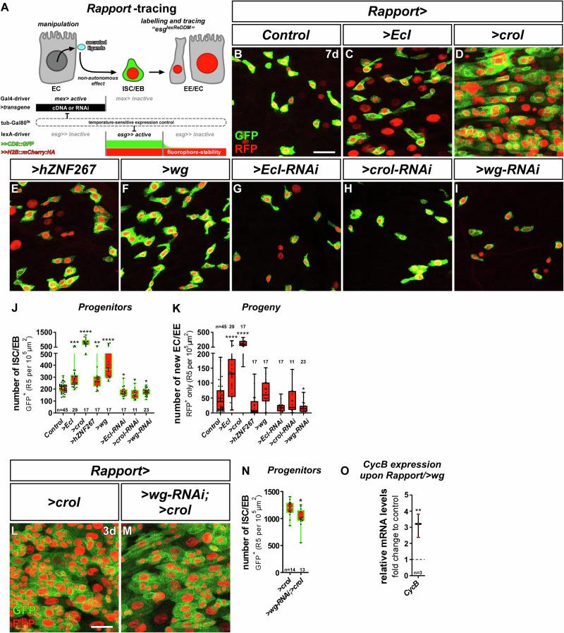 https://cdn.ncbi.nlm.nih.gov/pmc/blobs/fd82/11704138/e87b001012f9/41467_2024_55664_Fig5_HTML.jpg