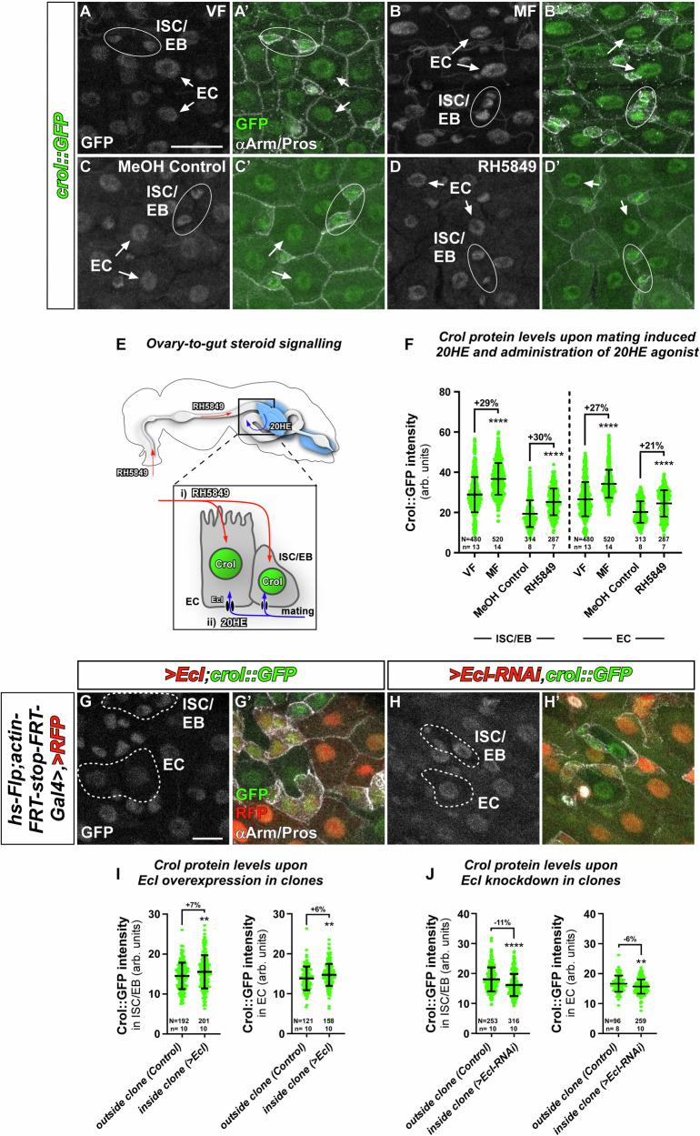 https://cdn.ncbi.nlm.nih.gov/pmc/blobs/fd82/11704138/f0c738179ae4/41467_2024_55664_Fig1_HTML.jpg