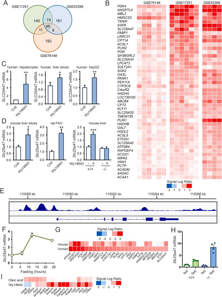 https://cdn.ncbi.nlm.nih.gov/pmc/blobs/fd82/11773045/e16a1f98f6db/gr1.jpg