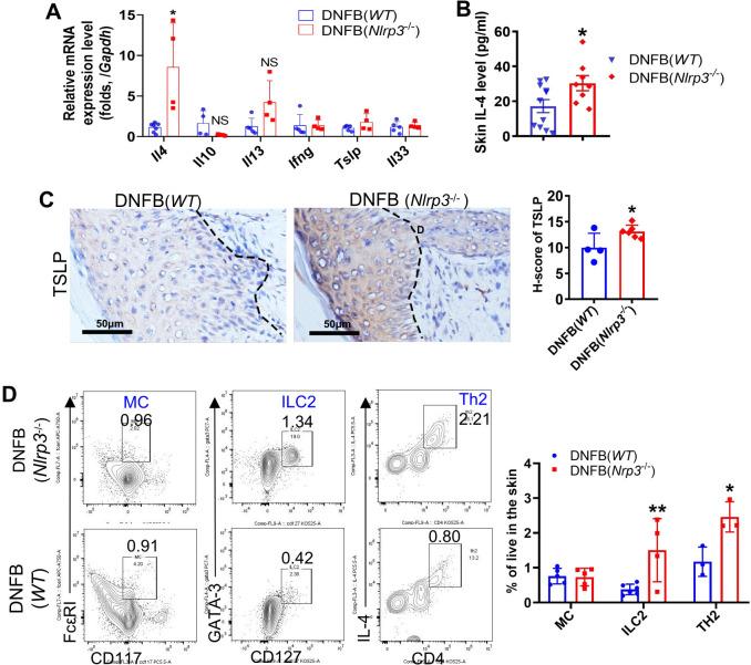 https://cdn.ncbi.nlm.nih.gov/pmc/blobs/fd83/11758165/2f765d9bc99d/fimmu-15-1450887-g004.jpg