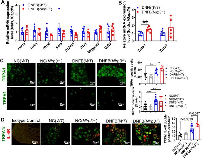 https://cdn.ncbi.nlm.nih.gov/pmc/blobs/fd83/11758165/bacaa4e9c320/fimmu-15-1450887-g005.jpg