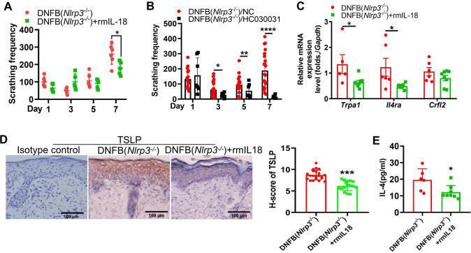 https://cdn.ncbi.nlm.nih.gov/pmc/blobs/fd83/11758165/c2f69ab02dfa/fimmu-15-1450887-g006.jpg