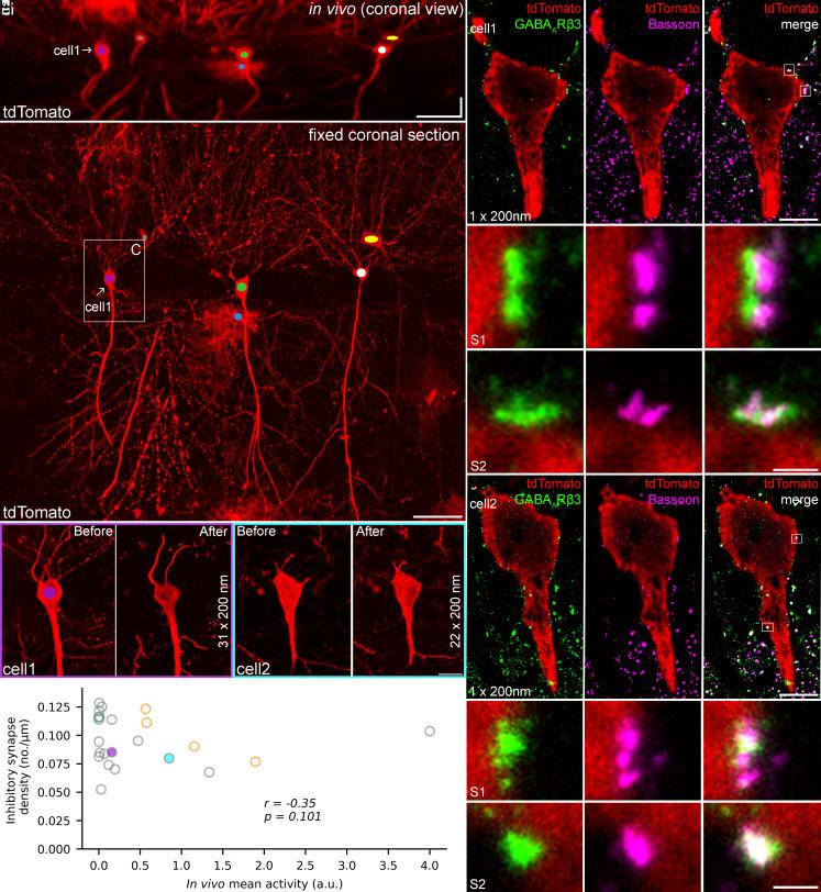https://cdn.ncbi.nlm.nih.gov/pmc/blobs/fd84/12167973/156af904208a/pnas.2505322122fig03.jpg