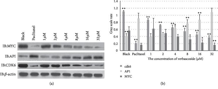https://cdn.ncbi.nlm.nih.gov/pmc/blobs/fd84/7091537/f246fb481049/ECAM2020-2345970.005.jpg