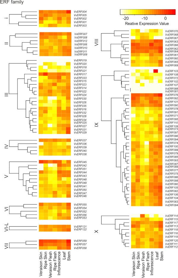 https://cdn.ncbi.nlm.nih.gov/pmc/blobs/fd86/3022922/8e363414e467/1471-2164-11-719-3.jpg