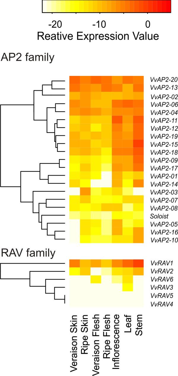 https://cdn.ncbi.nlm.nih.gov/pmc/blobs/fd86/3022922/e271f30243ec/1471-2164-11-719-4.jpg