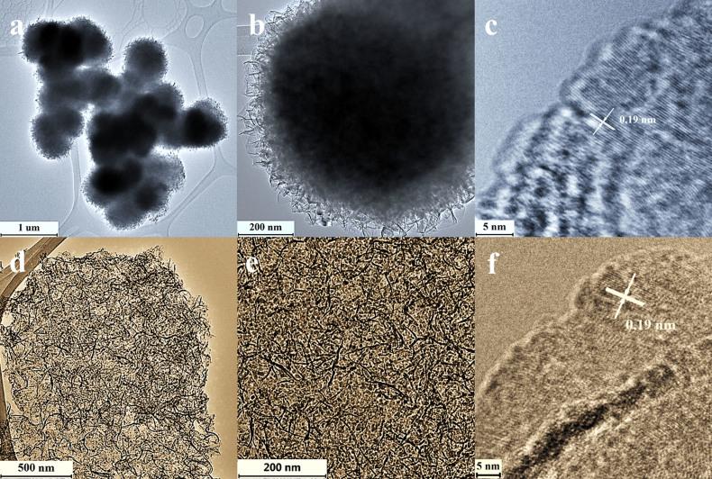https://cdn.ncbi.nlm.nih.gov/pmc/blobs/fd86/4031468/632de79b6a32/srep05044-f1.jpg