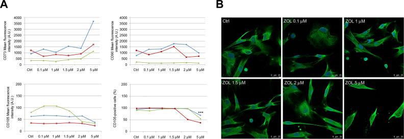 https://cdn.ncbi.nlm.nih.gov/pmc/blobs/fd86/7784504/20d50c7cda77/10.1177_0963689720948497-fig2.jpg