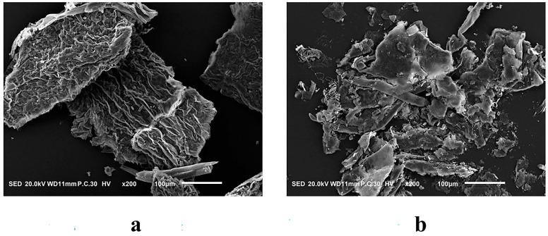 https://cdn.ncbi.nlm.nih.gov/pmc/blobs/fd89/11478309/1d9ecd286087/molecules-29-04749-g005.jpg