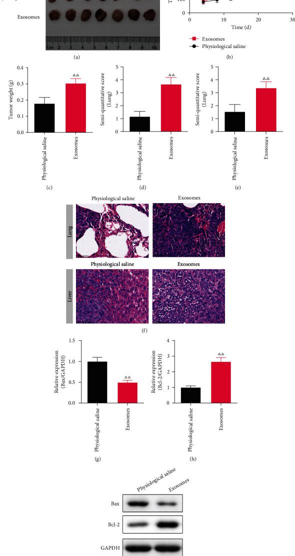https://cdn.ncbi.nlm.nih.gov/pmc/blobs/fd8b/9588341/4d91764026f8/JO2022-3590326.003.jpg