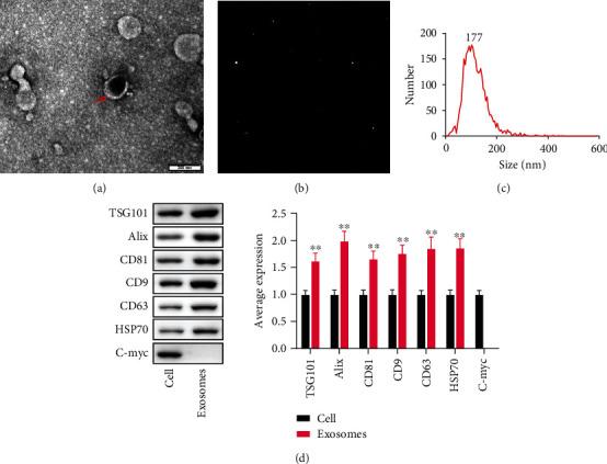 https://cdn.ncbi.nlm.nih.gov/pmc/blobs/fd8b/9588341/50b377428c04/JO2022-3590326.002.jpg