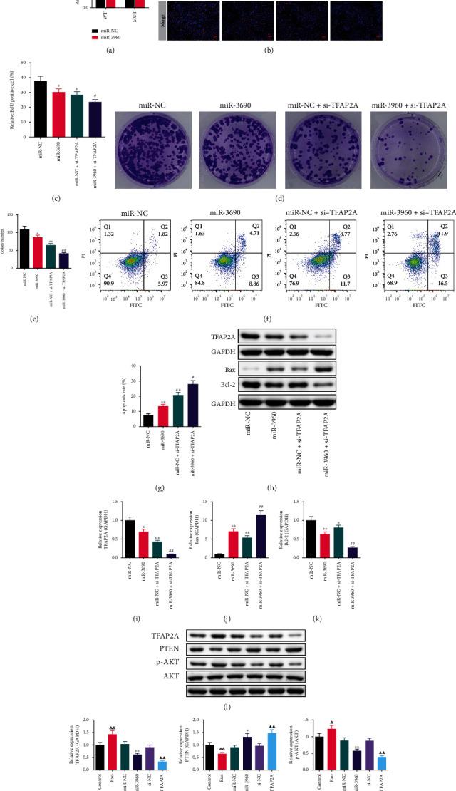 https://cdn.ncbi.nlm.nih.gov/pmc/blobs/fd8b/9588341/81febe774407/JO2022-3590326.008.jpg