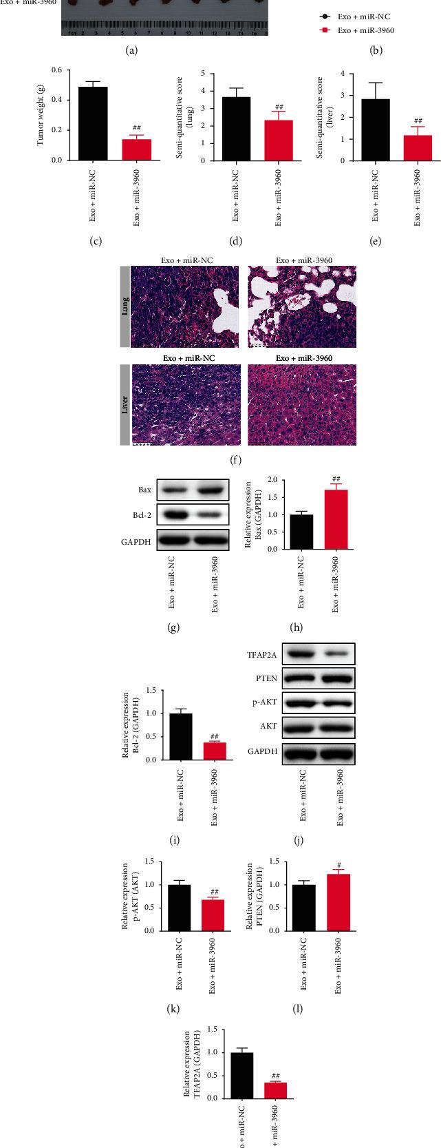 https://cdn.ncbi.nlm.nih.gov/pmc/blobs/fd8b/9588341/880be09604fc/JO2022-3590326.006.jpg