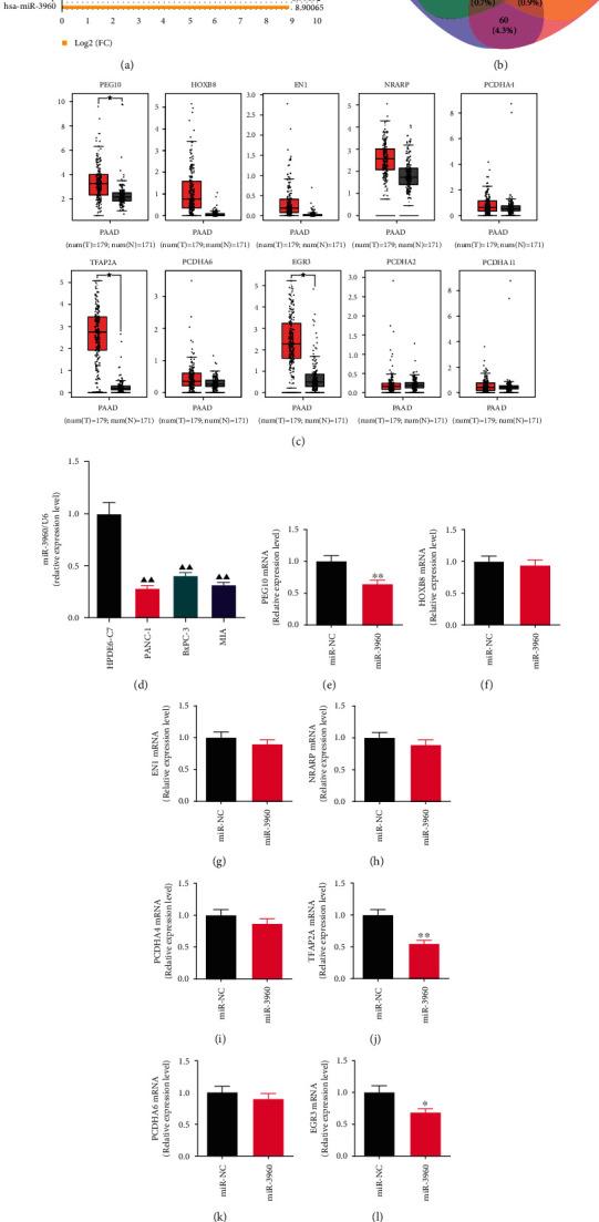 https://cdn.ncbi.nlm.nih.gov/pmc/blobs/fd8b/9588341/a9346197d26e/JO2022-3590326.001.jpg