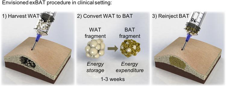 https://cdn.ncbi.nlm.nih.gov/pmc/blobs/fd8d/5962549/9329ea8b4ed6/41598_2018_25866_Fig1_HTML.jpg