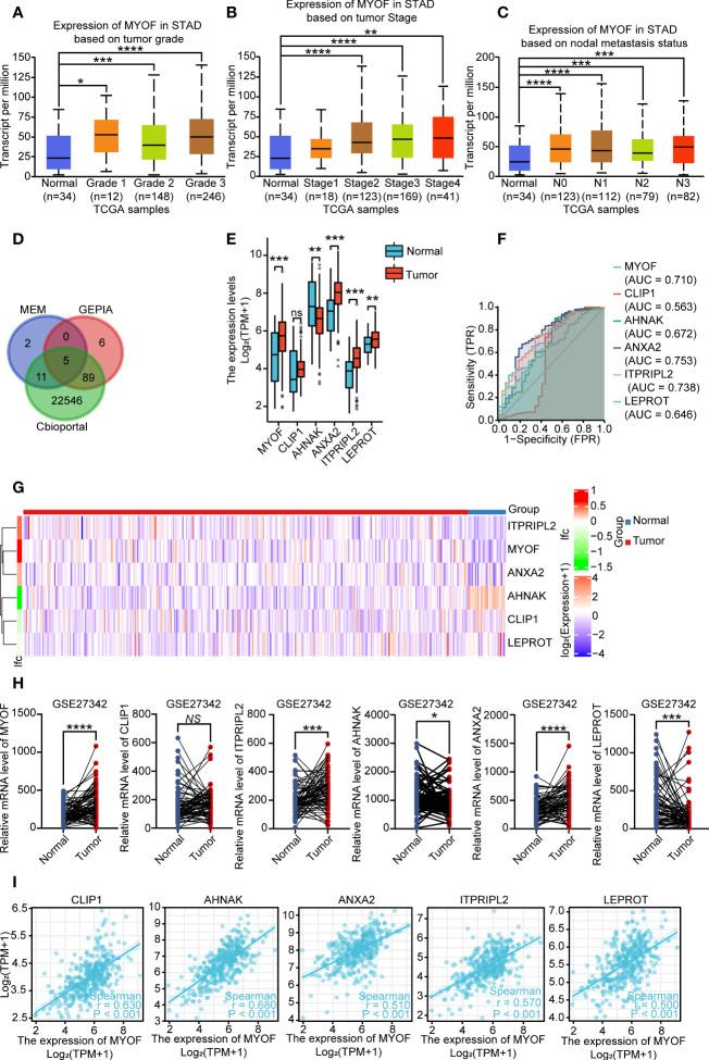 https://cdn.ncbi.nlm.nih.gov/pmc/blobs/fd91/9486956/cf0b2798fa9f/fonc-12-905230-g001.jpg