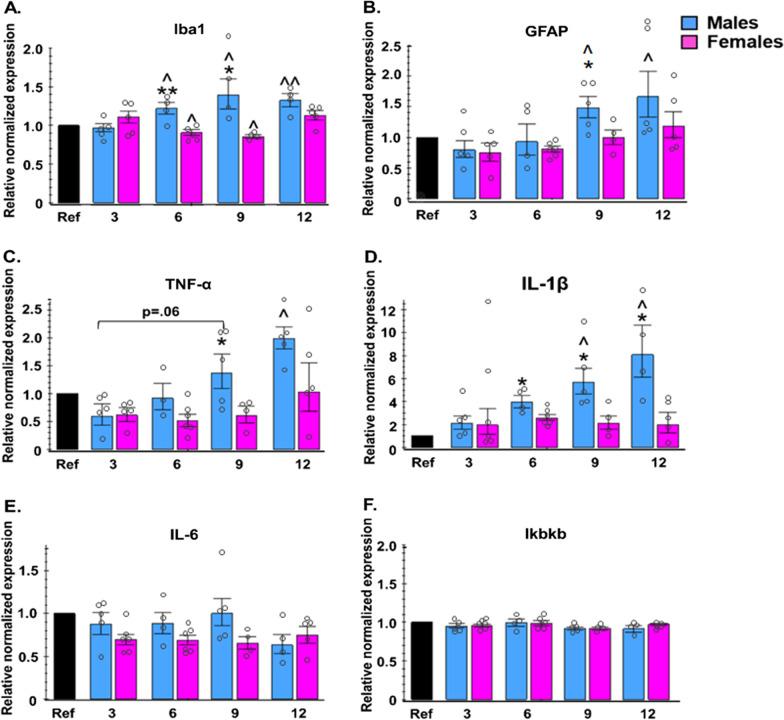 https://cdn.ncbi.nlm.nih.gov/pmc/blobs/fd92/10410820/87636bf612e0/13293_2023_536_Fig3_HTML.jpg