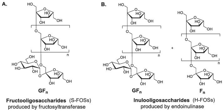 https://cdn.ncbi.nlm.nih.gov/pmc/blobs/fd92/12189978/360a835154a7/antioxidants-14-00754-g004.jpg