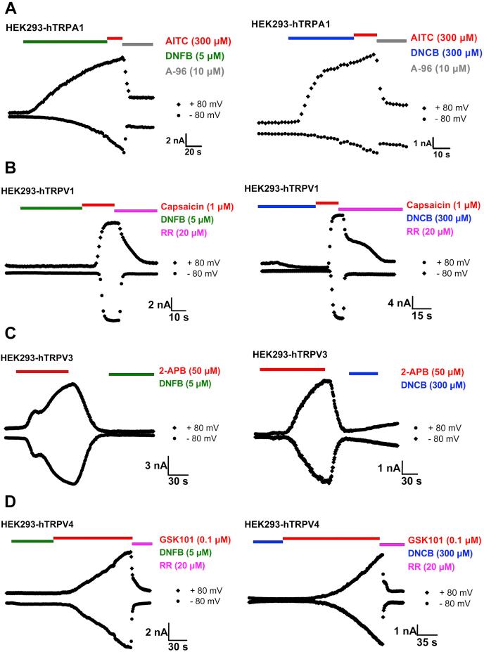 https://cdn.ncbi.nlm.nih.gov/pmc/blobs/fd92/8800105/11daebca98e5/gr2.jpg