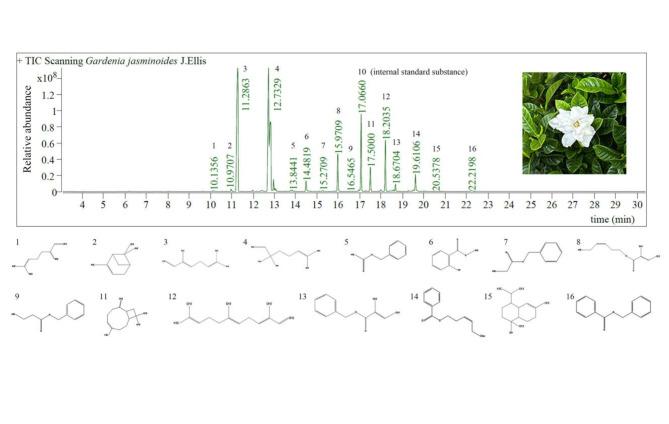 https://cdn.ncbi.nlm.nih.gov/pmc/blobs/fd95/11794631/c3253d15f820/41598_2024_84190_Fig6_HTML.jpg