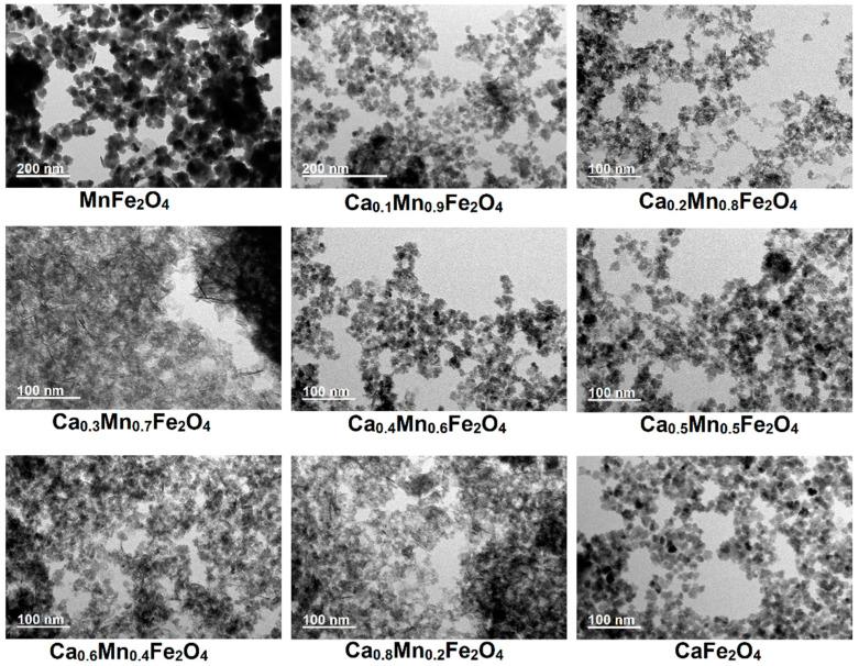 https://cdn.ncbi.nlm.nih.gov/pmc/blobs/fd95/9695608/b084943167ad/ijms-23-14145-g001.jpg